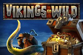 Vikings-Go-Wild.jpg